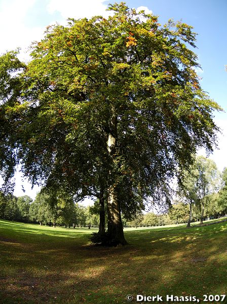 Irgendwo in der Landschaft